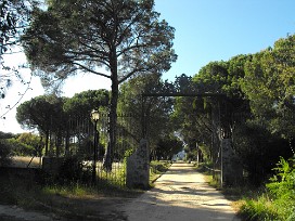 Doñana Espagne, Andalousie