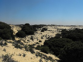 Doñana Espagne, Andalousie