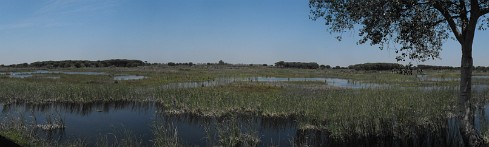 Doñana Espagne, Andalousie