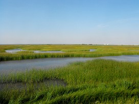 Doñana Espagne, Andalousie