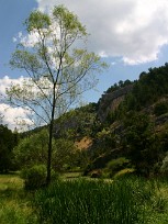 Cañon de Rio Lobos Espagne, Burgos