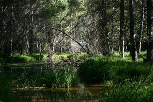 Cañon de Rio Lobos Espagne, Burgos