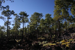 20100323181932_IMG_4062