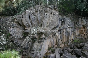 20100325173204_IMG_1153