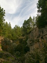 20100325173318_IMG_1154b