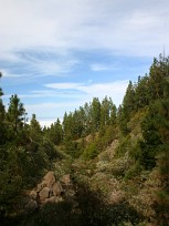 20100325173434_IMG_1156b