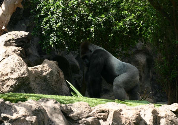 Parque de Loro