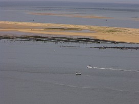 Bassin et Banc d'Arguin Arcachon