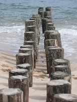 Bassin et Banc d'Arguin Arcachon