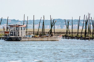 Bassin et Banc d'Arguin Arcachon