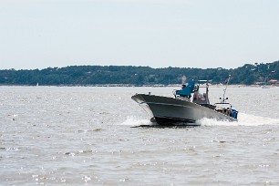 Bassin et Banc d'Arguin Arcachon