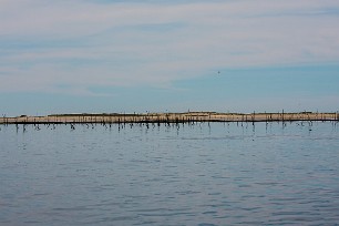 Bassin et Banc d'Arguin Arcachon