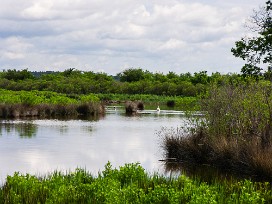 Le Teich Arcachon