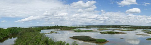 Le Teich Arcachon