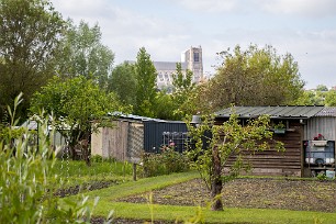 Le marais de Bourges