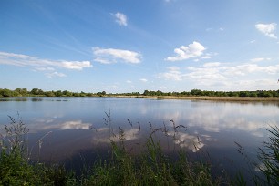 Par étangs et marais