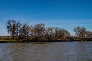 Le petit Rhone Camargue