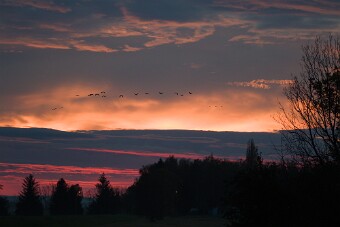 202410277d1_8330 null