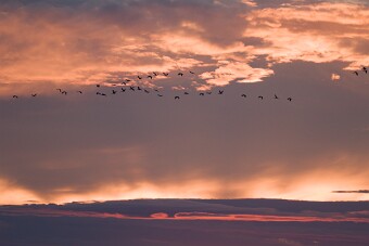 202410277d1_8347 null
