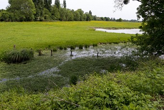 Apremont
