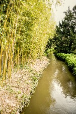 IMG_2648-2 null