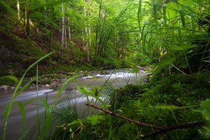 Le Couzon Isère