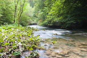 Le Couzon Isère