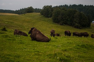 CRW_4722 Jura