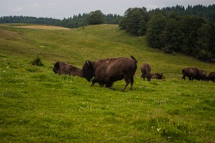 CRW_4723 Jura