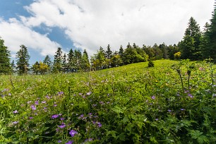 Giron, alentours et divers Jura