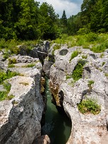 Pertes de la Valserine Jura