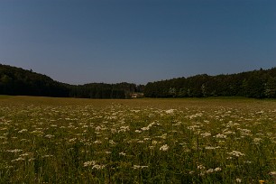 Plateau de Retord Jura