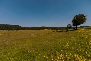 Plateau de Retord Jura