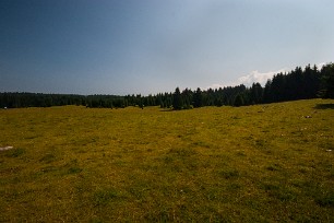 Prairie d'Echalon Jura