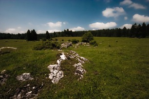 Prairie d'Echalon Jura