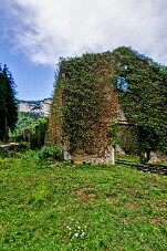 20260814_115427 null