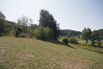 7D1_1242 null