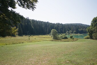 7D1_1243 null