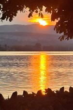 20260815_202659 null