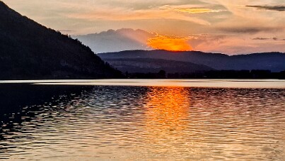 20260815_203103 null