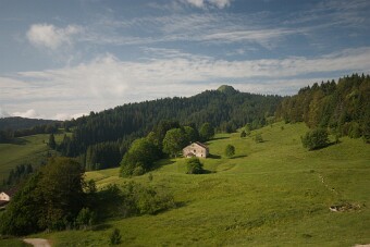 CRW_4726 null