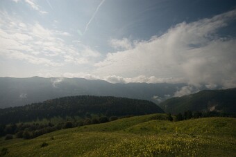 CRW_4729 null