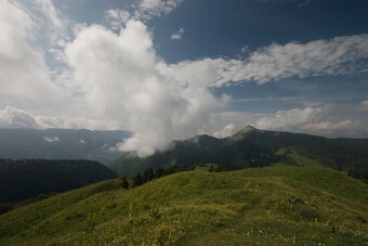 CRW_4740 null