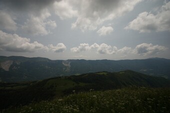 CRW_4529 null