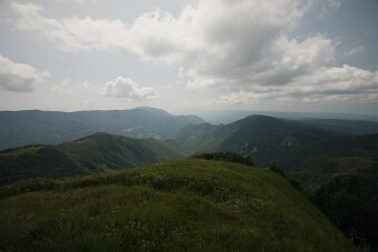 CRW_4533 null