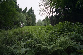 CRW_4544 null