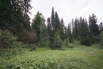CRW_4546 null