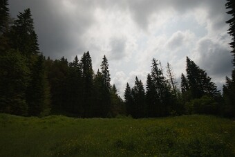 CRW_4555 null