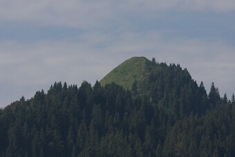 IMG_0317 null