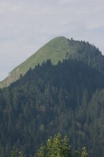 IMG_0318 null
